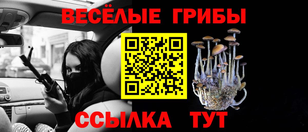 Видное  Псилоцибиновые грибы Psilocybine cubensis  Псилоцибиновые грибы мухоморы  Вход с VPN 