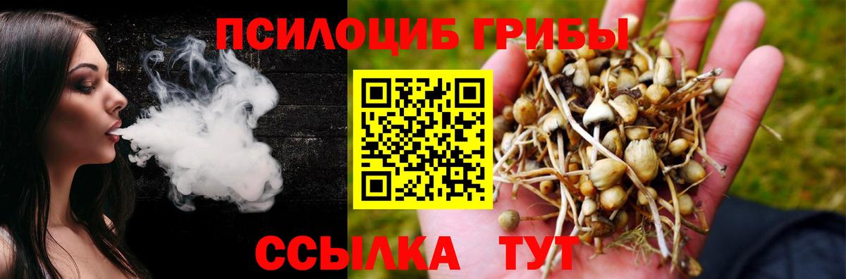 Галлюциногенные грибы прущие грибы  Вход с VPN  Видное 