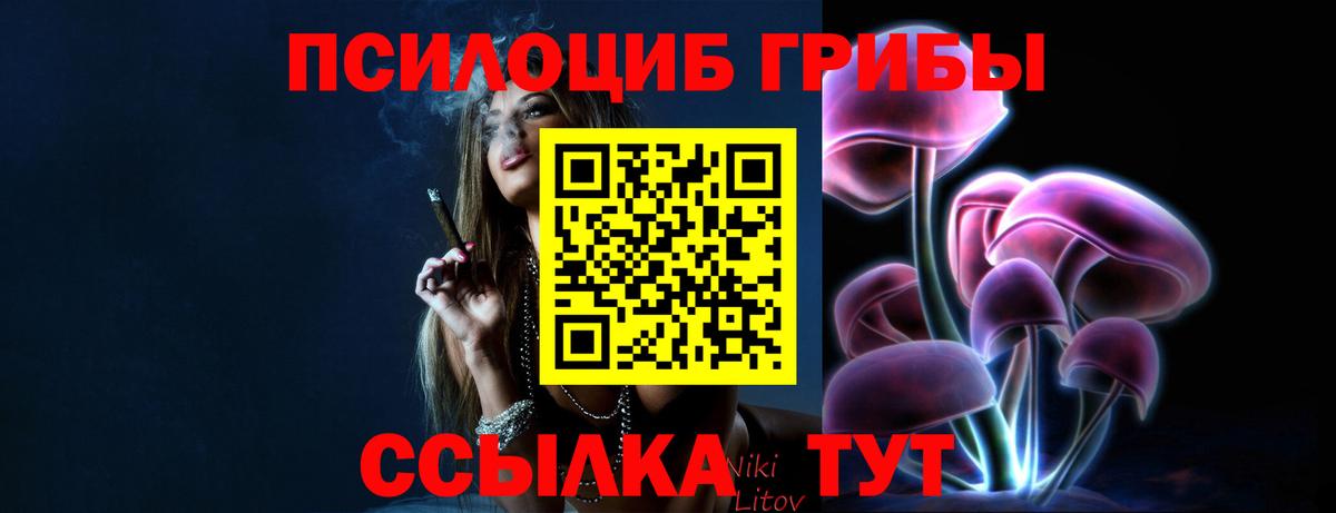 Псилоцибиновые грибы прущие грибы Видное