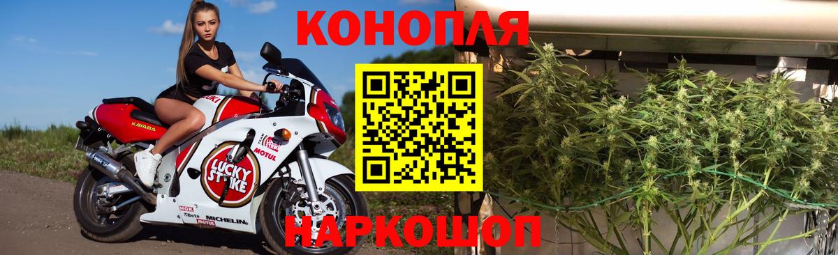 Конопля конопля  Конопля White Widow  Видное  Марихуана гибрид  Вход с VPN 