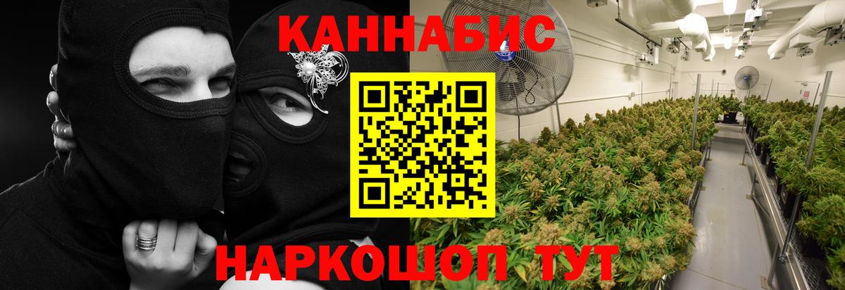 МАРИХУАНА Ganja  Вход с VPN  Видное  Марихуана план  Марихуана VHQ 